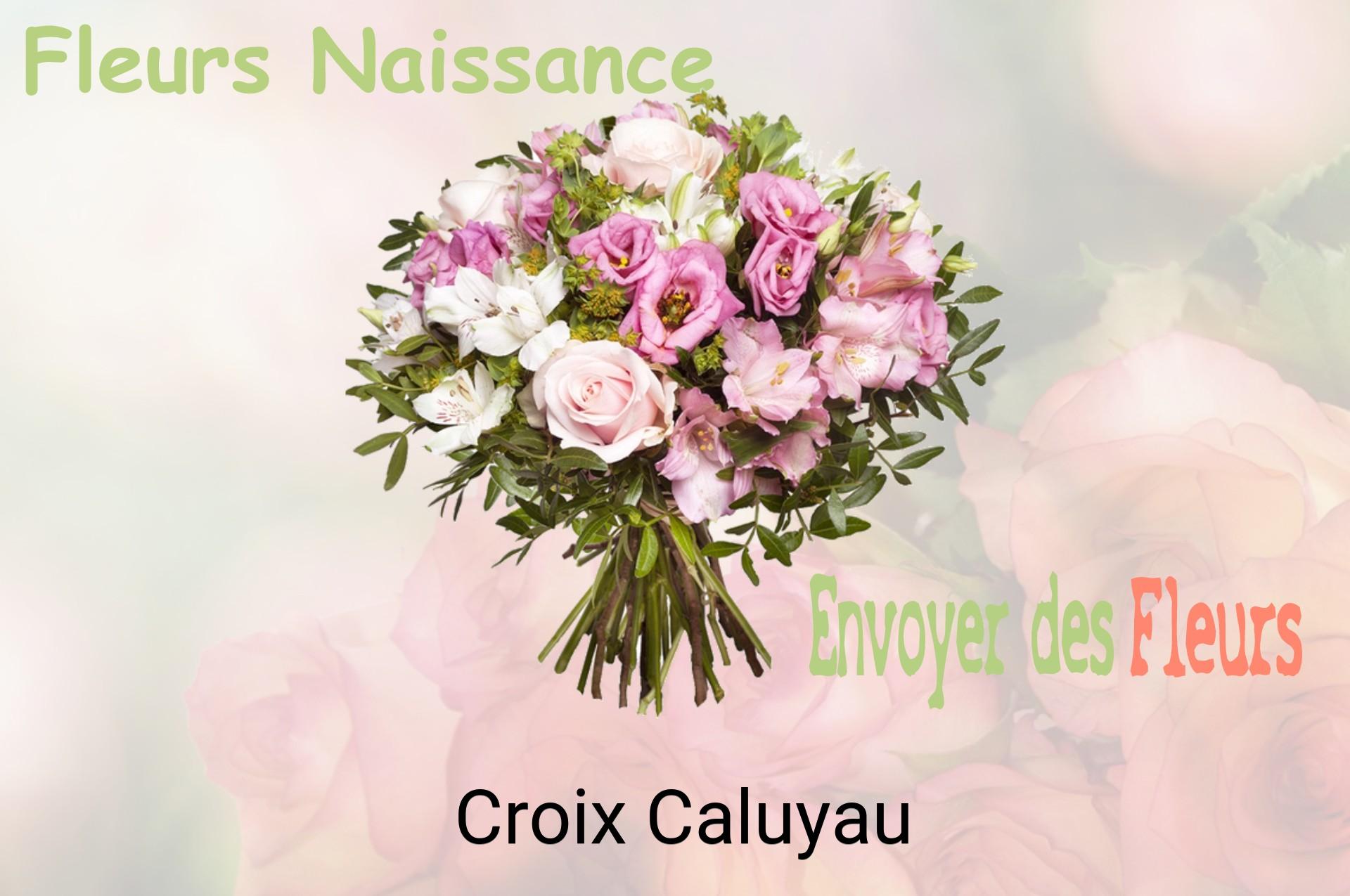 Bouquet de fleurs de naissance livré à Croix-Caluyau