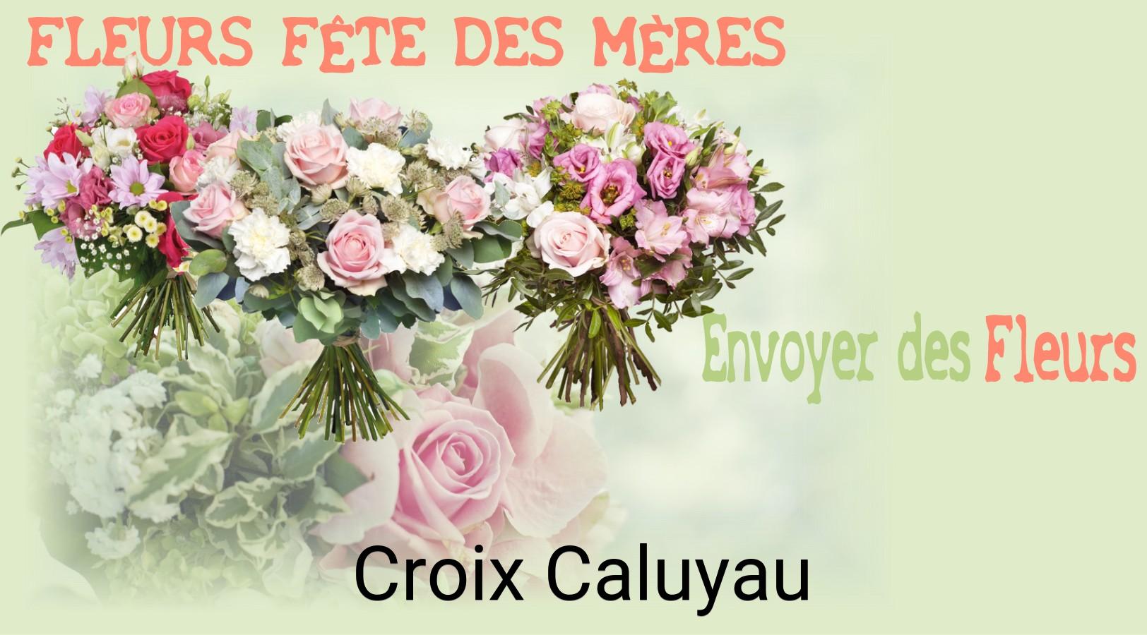 Bouquet de Fête des Mères livré à Croix-Caluyau